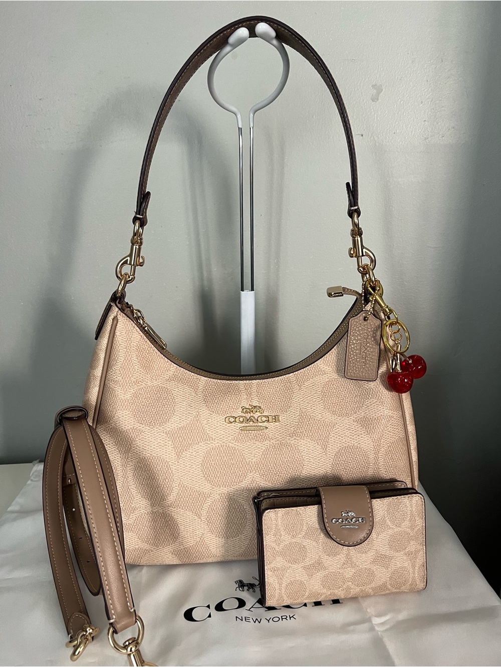 Coach Teri Hobo Bag In Blocked Signature Canvas With Matching Wallet